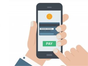 Economista da FCDL-MG avalia suspensão do Whatsapp Pay pelo Banco Central e Cade
