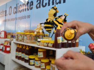 Quase 70% das empresas ativas no país são MEI, divulga ministério